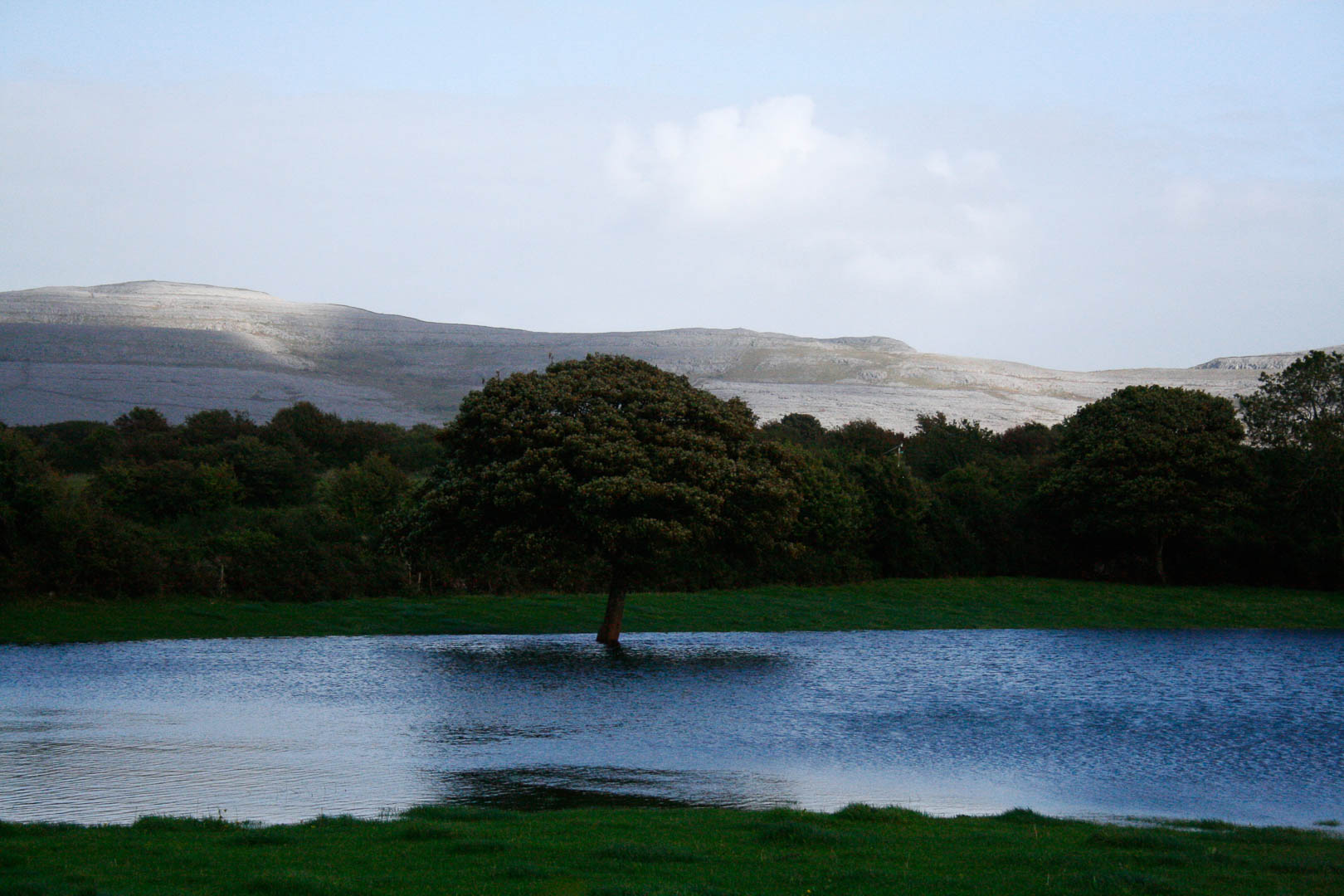 Emma Weber Image 3 Copy Open Studios Tour